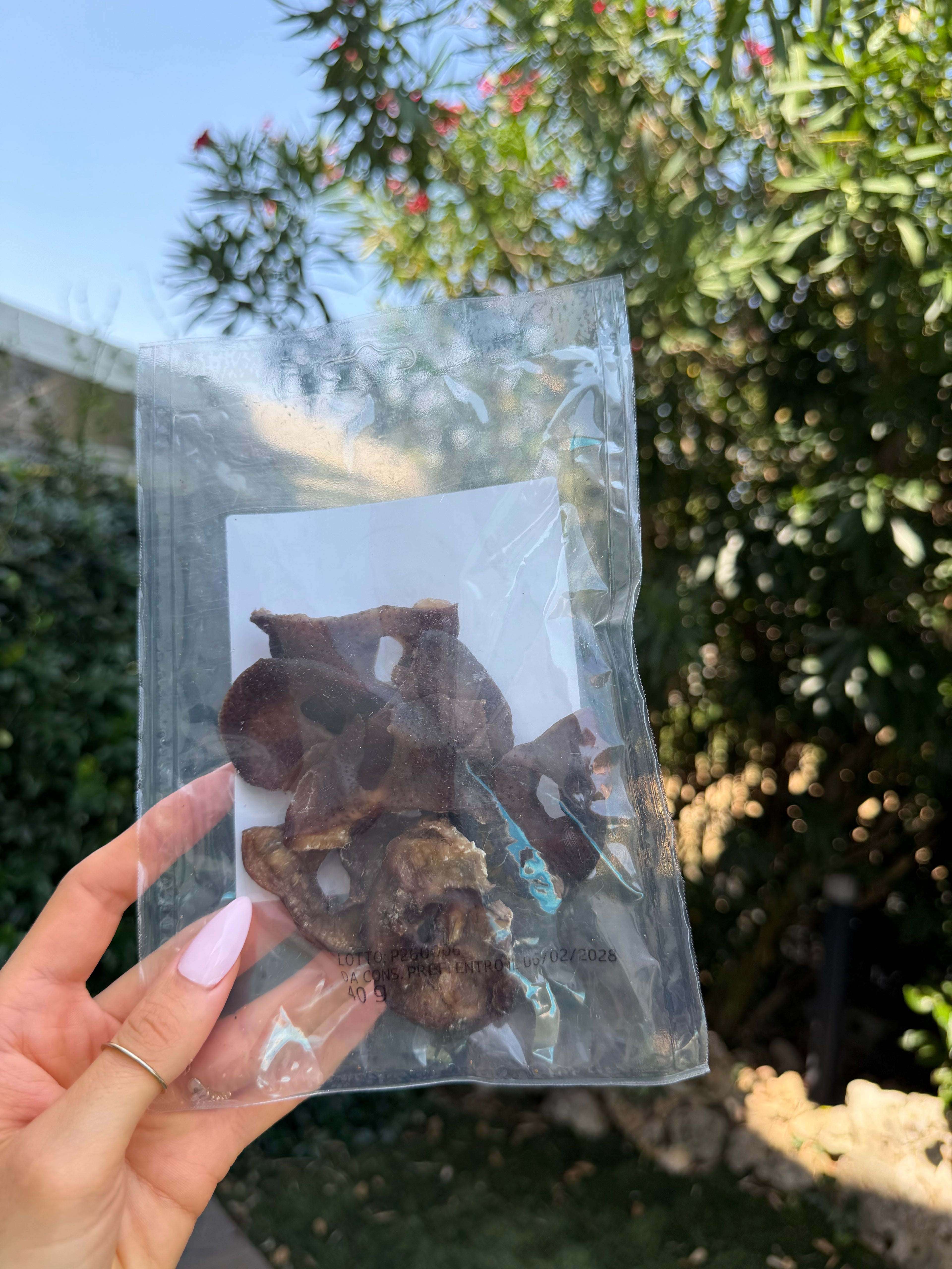 Mezzi musetti di maiale (6 pz, da 40g)