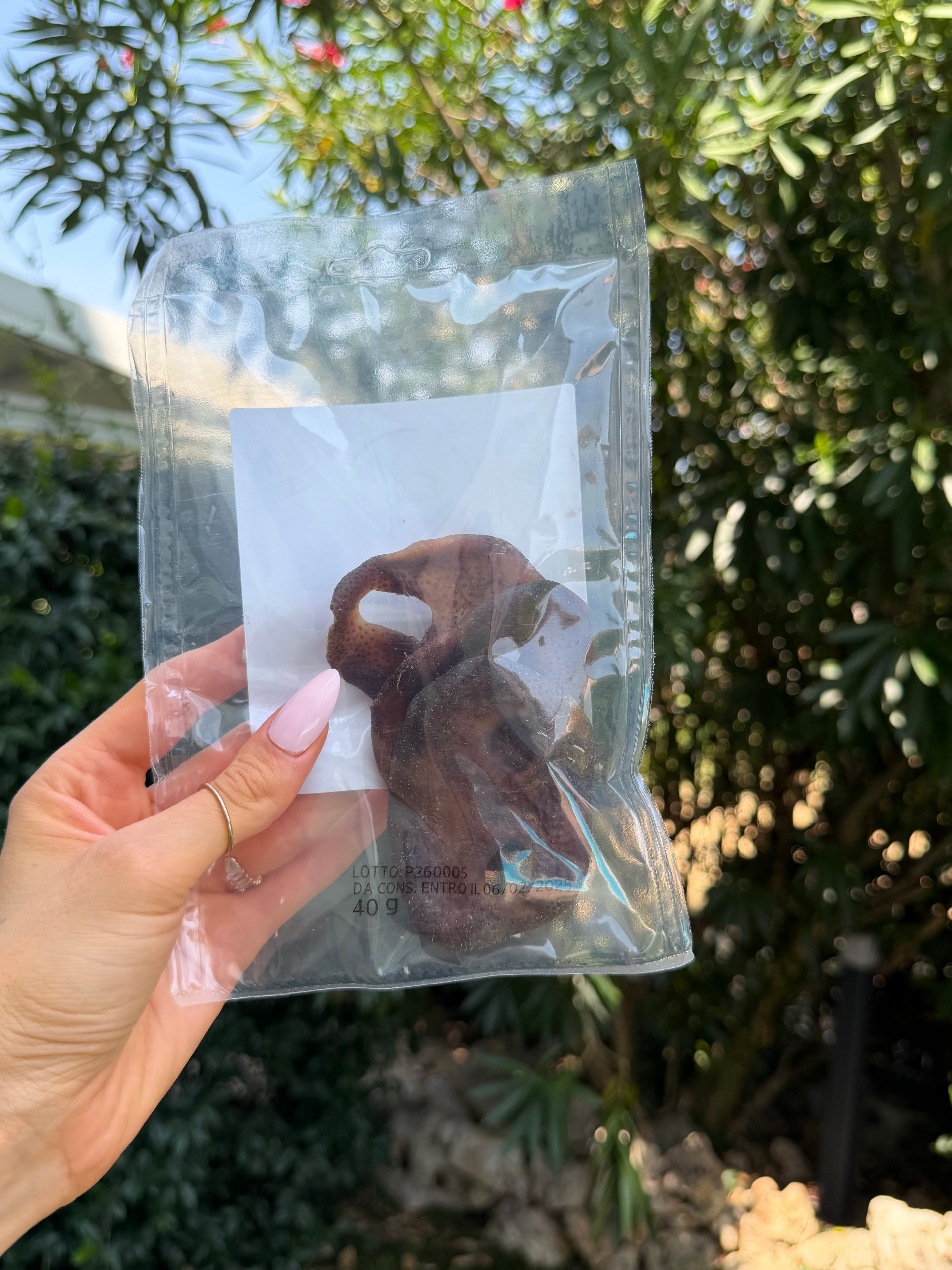 Musetti interi di maiale (3pz, da 40g)