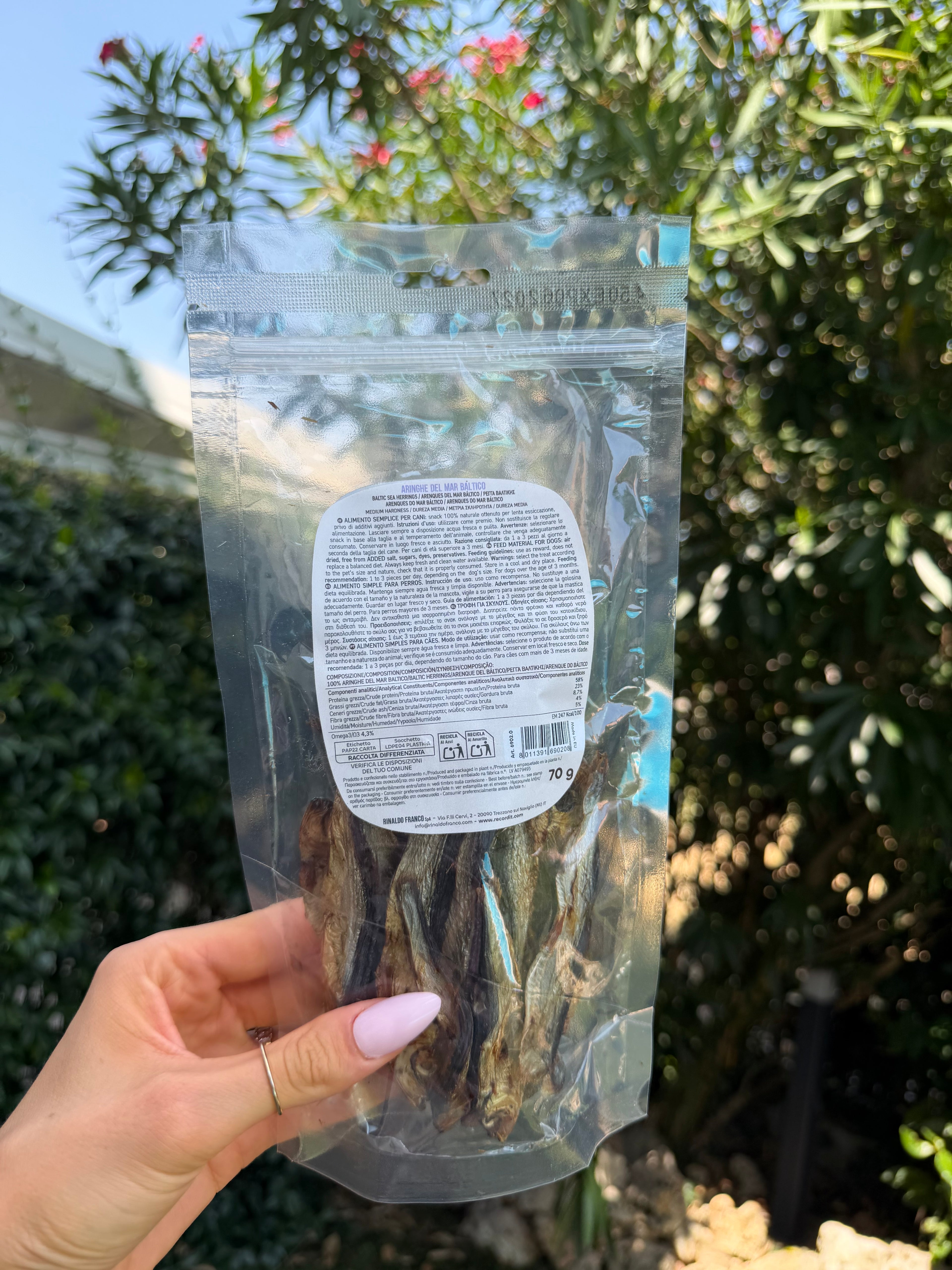 Pesciolini di aringa (70g)