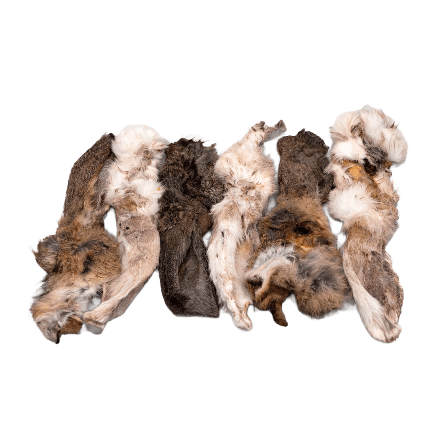 Orecchie di coniglio con pelo (4pz)