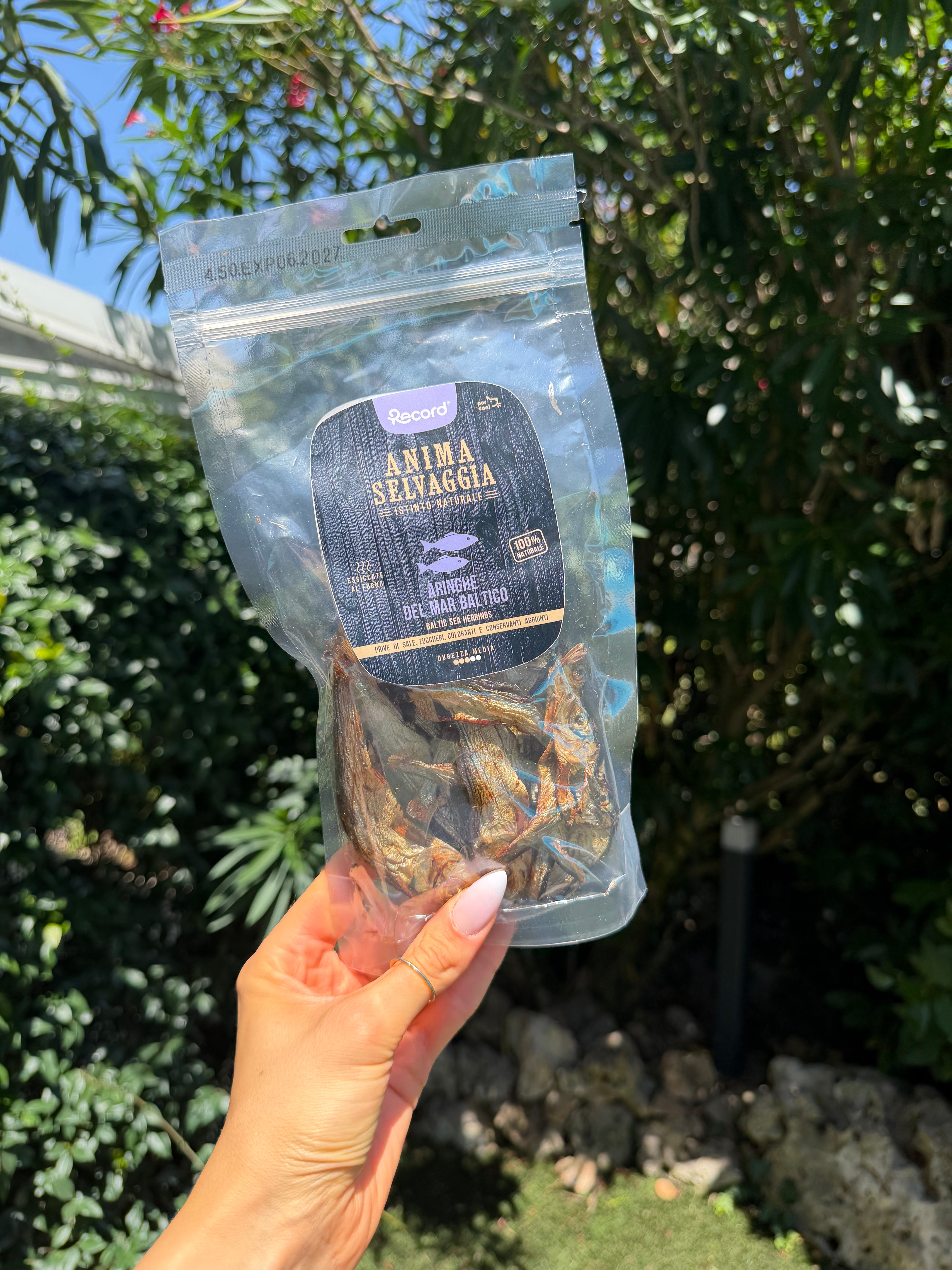 Pesciolini di aringa (70g)